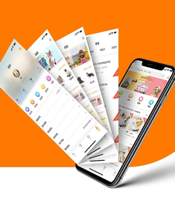 绵阳手机软件开发,沈阳app公司