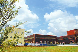 四川绿色食品原料基地数量全国第二