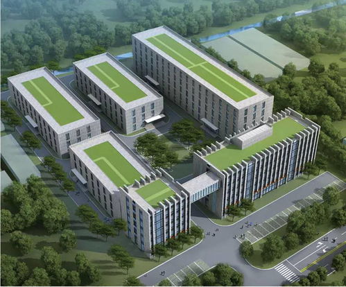 绵阳软件设计产业驶入快车道 政策加码与创新突破共筑发展新高地